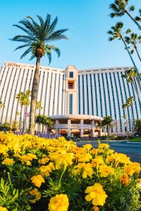 Flowers blooming in front of Rosen Centre
